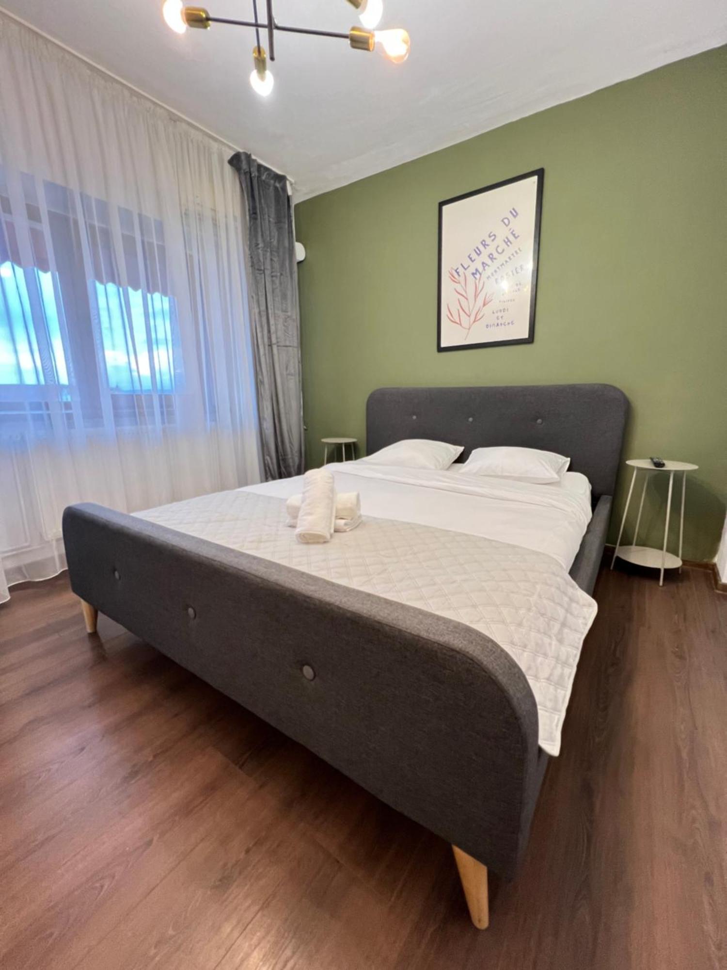 Old Town View- Ultracentral Apartment Тирговіште Екстер'єр фото
